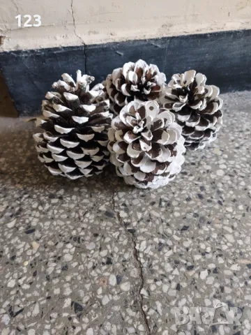 Шишарки за декорация , снимка 2 - Декорация за дома - 50358403