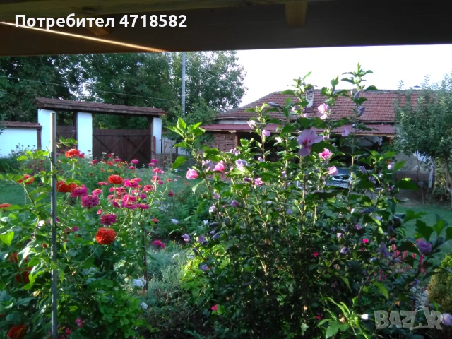 Продавам имот – две автономни къщи в един двор , община Ловеч, село Дойренци, снимка 3 - Къщи - 53218401