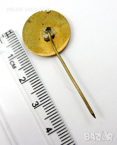 Водно спасителна служба-Стара емайл значка, снимка 3 - Колекции - 37041986