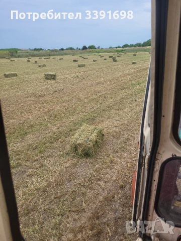 Свободни малки бали люцерна втори откос, снимка 2 - За селскостопански - 52509550