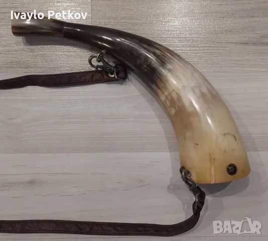 Рогова Барутница