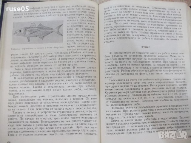 Книга "Забавна ихтиология - Петър Владев" - 168 стр., снимка 3 - Специализирана литература - 28958782