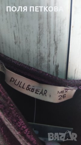 Лъскаво потниче, снимка 4 - Потници - 37578371