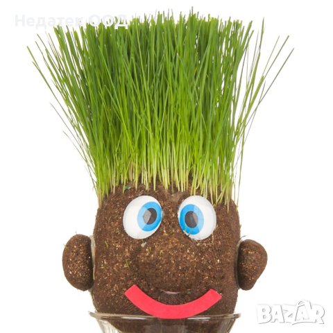 Градинско човече, Картофена глава от трева