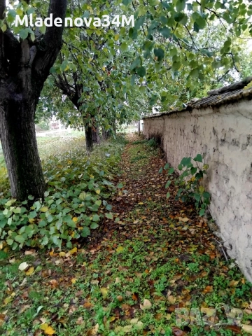 Имот с голям двор, снимка 10 - Къщи - 52255307