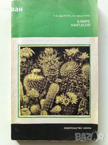 В мире кактусов - Р.Удалова,Н.Вьюгина - 1983 г., снимка 1 - Енциклопедии, справочници - 32651164