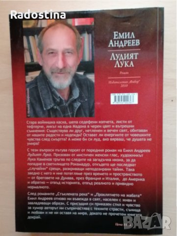 Лудият Лука Емил Андреев, снимка 2 - Художествена литература - 28853784