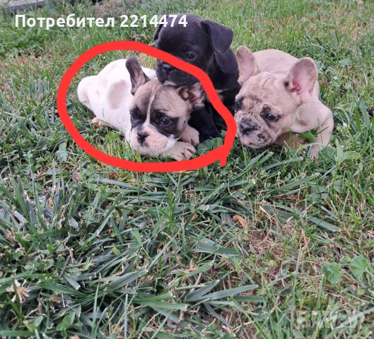 ПРОМО остава само 1 момченце, снимка 1