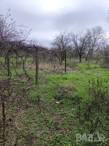 Продавам здрава двуетажна тухлена къща в село Дянково, снимка 9 - Къщи - 52822497