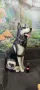 Kерамично куче в реален размер, снимка 1