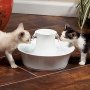 Луксозен керамичен фонтан за кучета и котки PetSafe Drinkwell, снимка 9