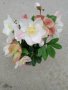 Helleborus Cesar(Кукуряк Цезар), снимка 1
