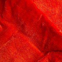 Ледика в червено, снимка 2 - Покривки за легло - 40624005