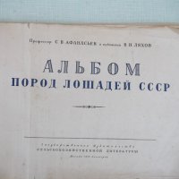 Книга "Альбом пород лошадей СССР - С.В.Афанасьев" - 186 стр., снимка 3 - Специализирана литература - 33202704