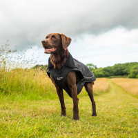 Дъждобран за кучета Mountain Paws, водоустойчив и ветроустойчив, подплатен с руно Cordura, размер М, снимка 3 - За кучета - 44866793