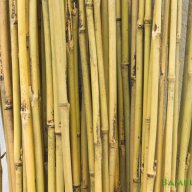 Бамбукови пръчки 210 см дължина, снимка 1 - Декорация за дома - 19929162