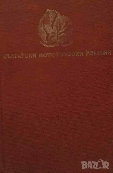 Последните Шишмановци, снимка 1
