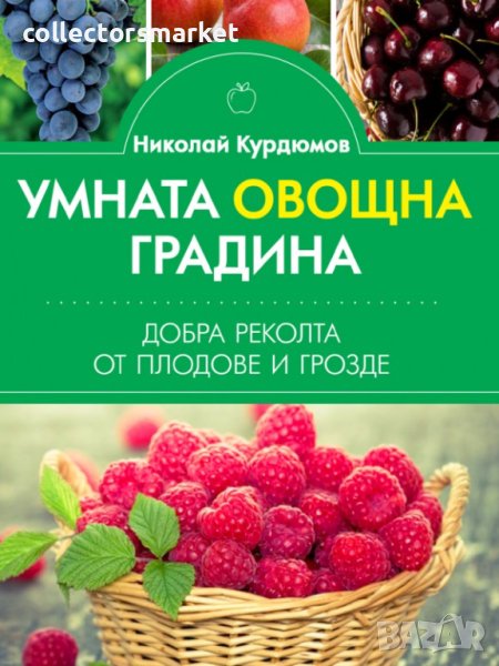 Умната овощна градина. Добра реколта от плодове и грозде, снимка 1