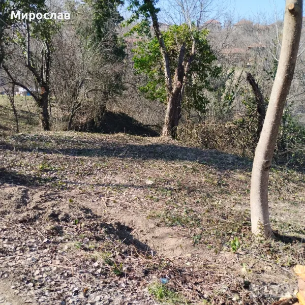 Имот в с. Голяма Желязна ( общ. Троян), снимка 1