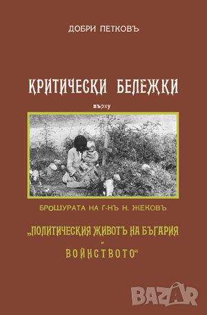 Критически бележки  Добри Петковъ , снимка 1