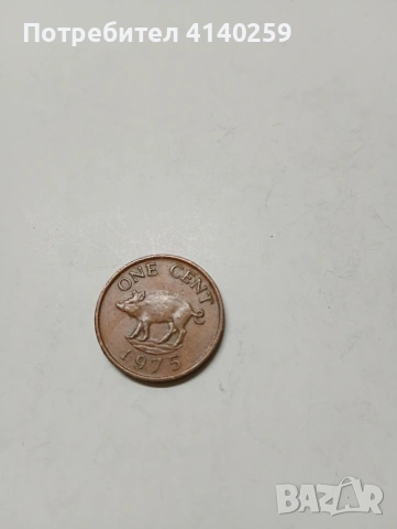 БЕРМУДА МОНЕТИ 1 ЦЕНТ 1975 Г 1 ДОЛАР 1996 Г , снимка 2 - Нумизматика и бонистика - 53092742