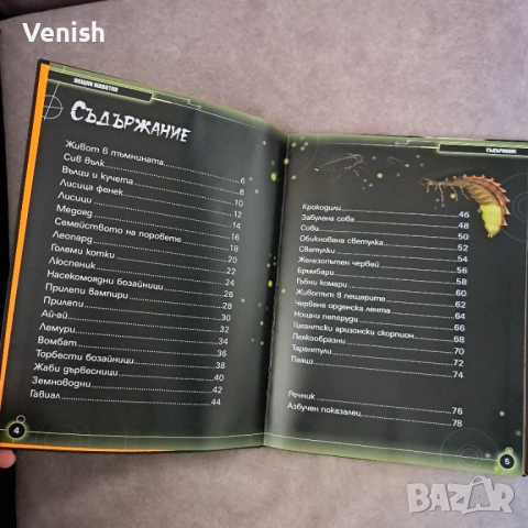 Животните на Европа и Нощните животни, снимка 4 - Детски книжки - 52483867