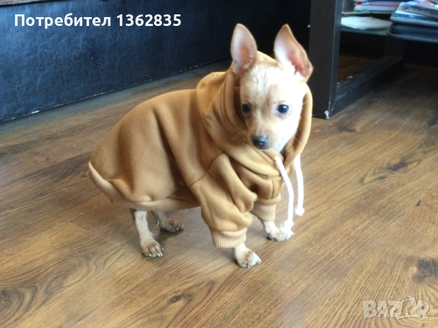 НОВ топъл кафяв суичър за куче от Италия размер S и M, снимка 3 - За кучета - 51972493