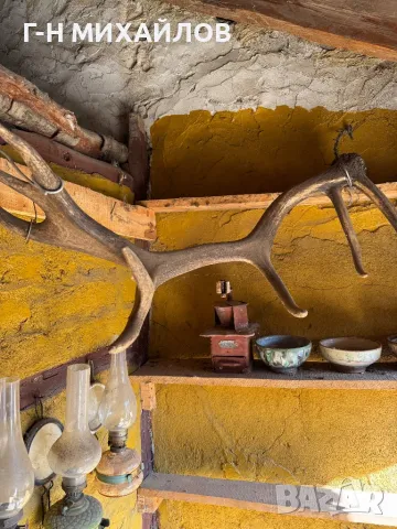 Рога от благороден елен , снимка 2 - Колекции - 48778715