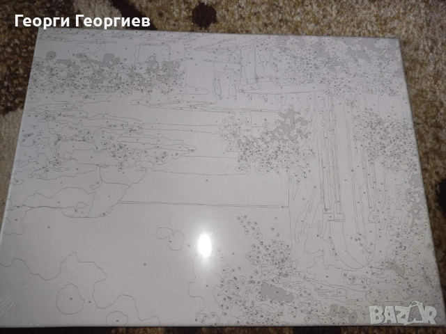 Картина за рисуване по номера 30см на 40см, снимка 3 - Картини - 53440339