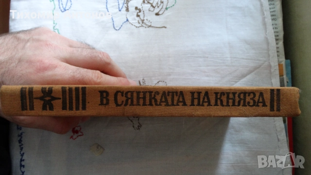 Борис Брайков - В сянката на княза, снимка 8 - Художествена литература - 52342859