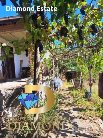 Едноетажна къща в село Езерово, обл. Пловдив, снимка 5 - Къщи - 53008224