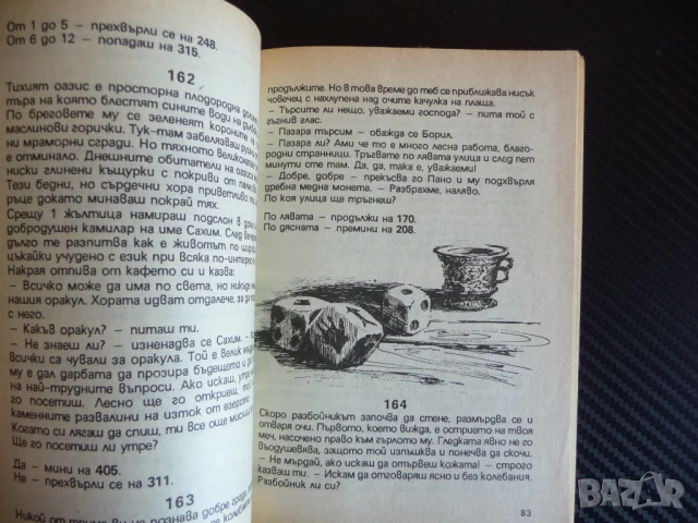 Огнена пустиня Любомир Николов книга игра приключения героят си ти , снимка 3 - Детски книжки - 51149674