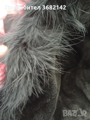 продавам дамско яке , снимка 13 - Якета - 51429574