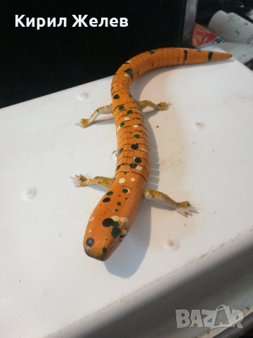 Сувенир - 6322, снимка 5 - Декорация за дома - 27323516