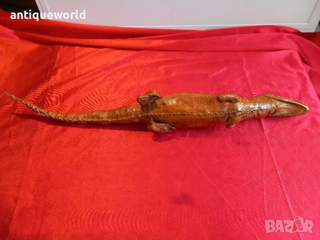 Препариран КРОКОДИЛ, Кайман, снимка 5 - Антикварни и старинни предмети - 48232689