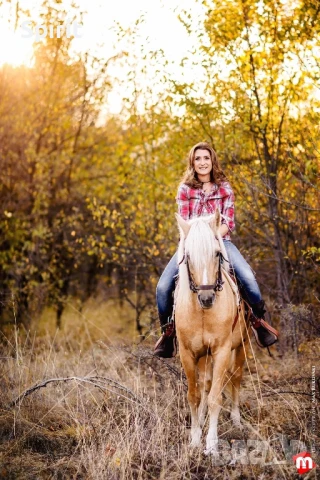 Ездитен кон Аблай Хан, снимка 12 - Коне - 51147186