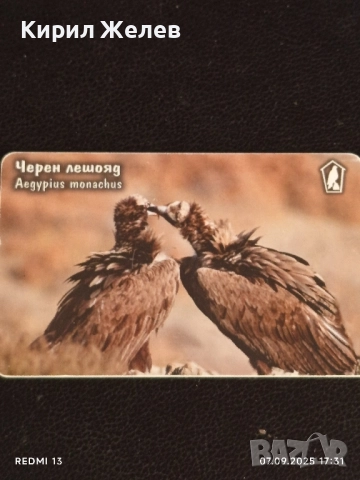 Три фонокарти тема ЖИВОТНИ ЧЕРЕН ЛЕШОЯД,КАФЯВА МЕЧКА за КОЛЕКЦИЯ 12011, снимка 10 - Колекции - 51634380