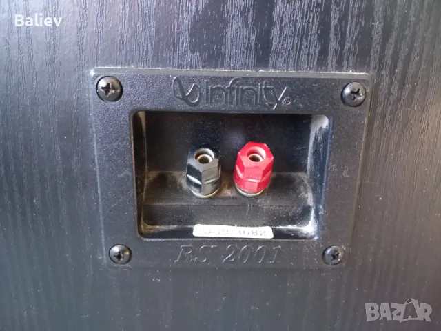 INFINITY RS 2001 тонколони , снимка 8 - Тонколони - 48908201