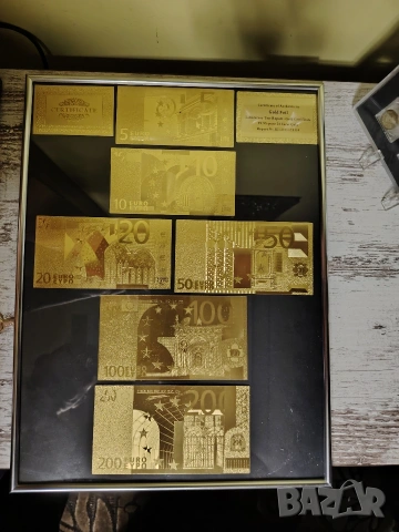 Колекция от позлатени Евро банкноти в сребриста рамка., снимка 2 - Картини - 53157754