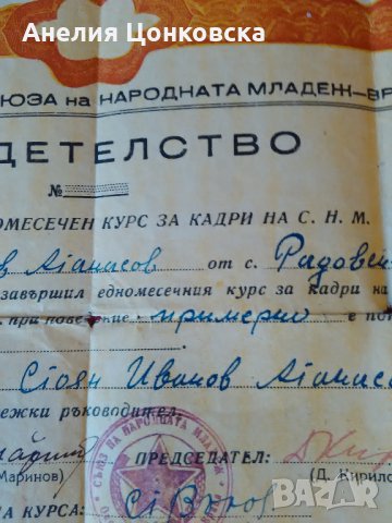 СВИДЕТЕЛСТВО ЗА КАДРИ НА С.Н.М.1948 г., снимка 5 - Антикварни и старинни предмети - 28074007