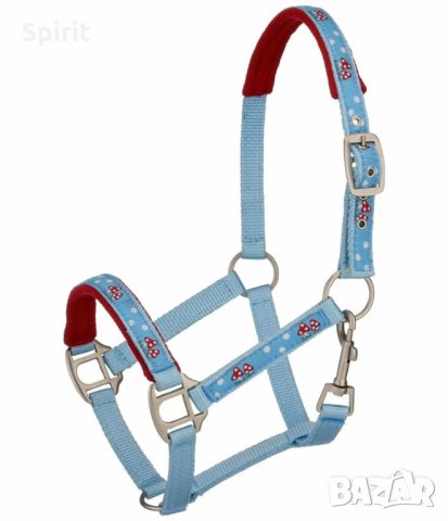 Юлари Mushrooms 