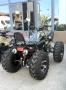 Бензиновo ATV/АТВ 250cc (водно охлаждане) Модел 2026, снимка 10