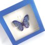Прелестна брошка Синя пеперуда с блещукащи кристали в подаръчна кутийка, снимка 1