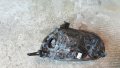 Фар десен за Nissan Micra K13 2010 2011 2012 2013г, снимка 5