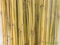 Бамбукови пръчки 210 см дължина