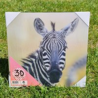3D снимка на зебра, снимка 1 - Картини - 32498646