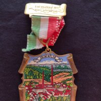Стар медал Германия GRUNENPLAN 1979 година за колекция - 25926, снимка 1 - Антикварни и старинни предмети - 34607423
