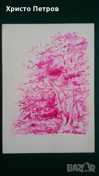 ГРАФИКА ЦВЕТНА - ВИТОША, БГ АВТОР, снимка 1