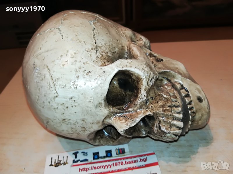 черепа 20х16х14см-антика 0101231028, снимка 1