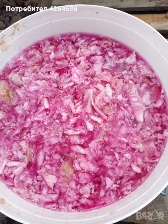 Кисело зеле , снимка 1